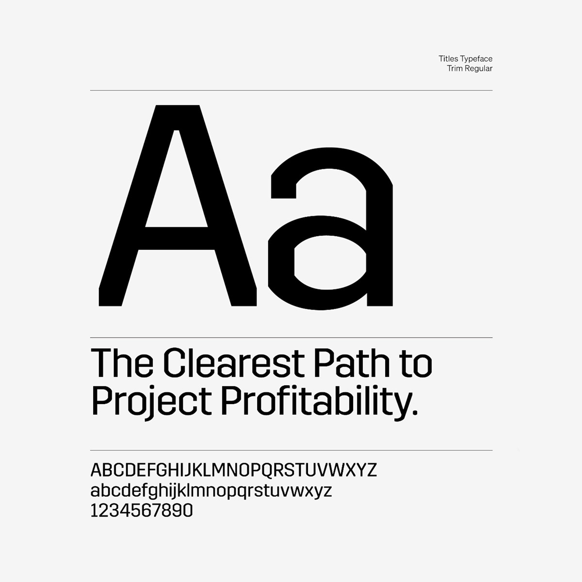 type Sample set of pages from the brand guidelines that contain print and digital color palettes, visual identity, brand assets, photography treatment, and more.