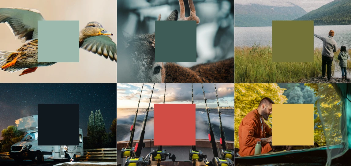 Sample set of pages from the brand guidelines that contain print and digital color palettes, visual identity, brand assets, photography treatment, and more.
